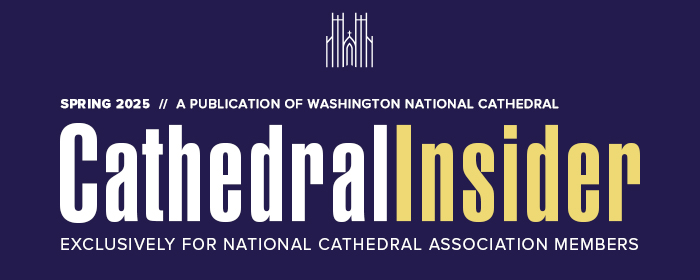 Cathedral Insider